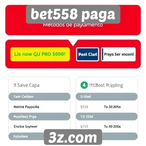 Métodos de pagamento disponíveis na bet558